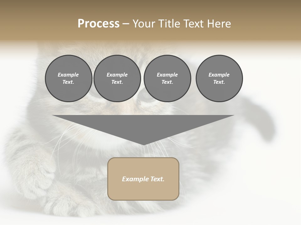 Playful Young Animal Fun PowerPoint Template