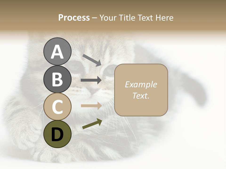 Playful Young Animal Fun PowerPoint Template