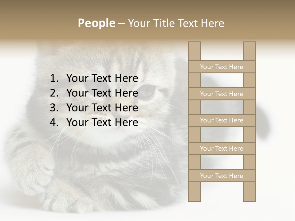 Playful Young Animal Fun PowerPoint Template