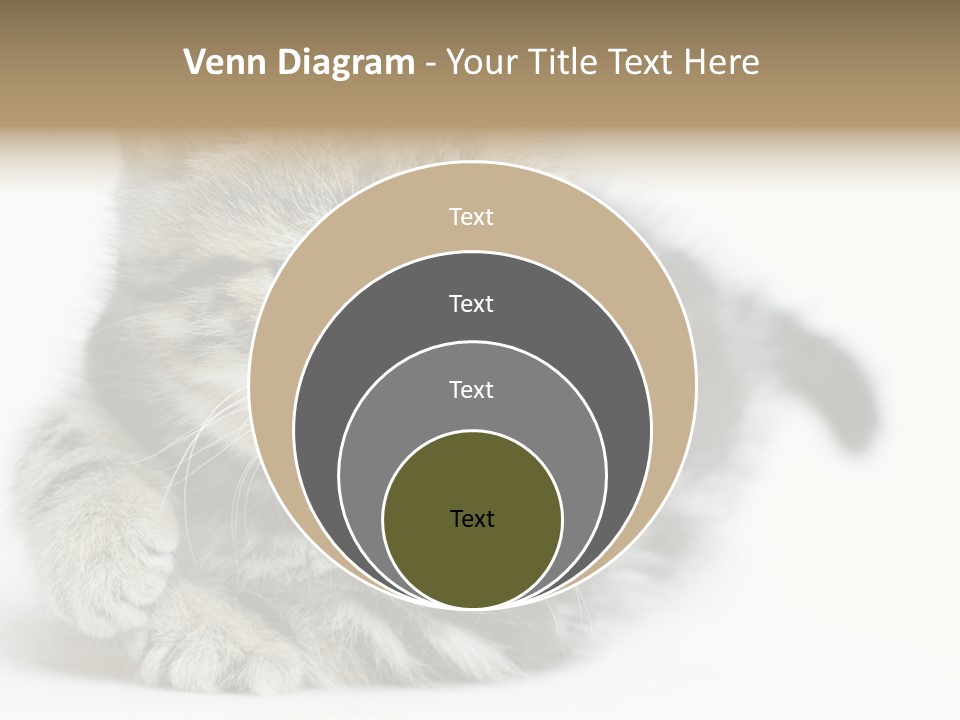 Playful Young Animal Fun PowerPoint Template