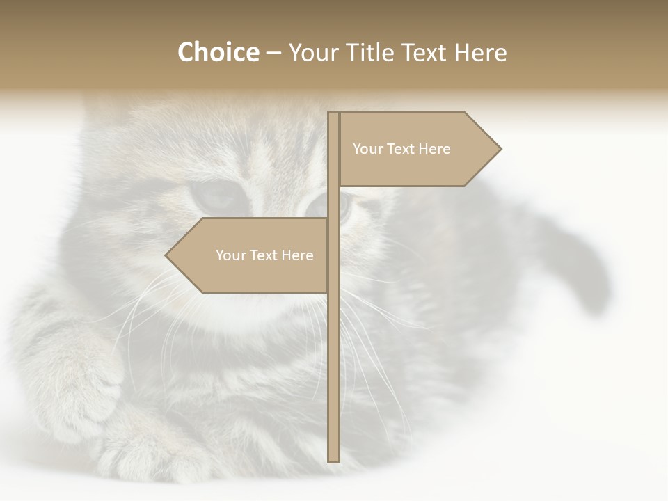 Playful Young Animal Fun PowerPoint Template