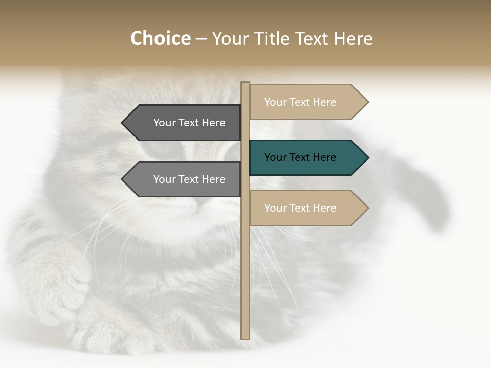 Playful Young Animal Fun PowerPoint Template
