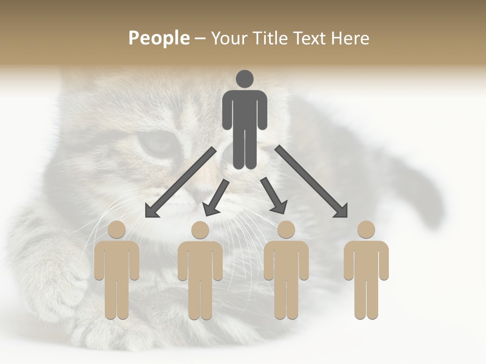 Playful Young Animal Fun PowerPoint Template