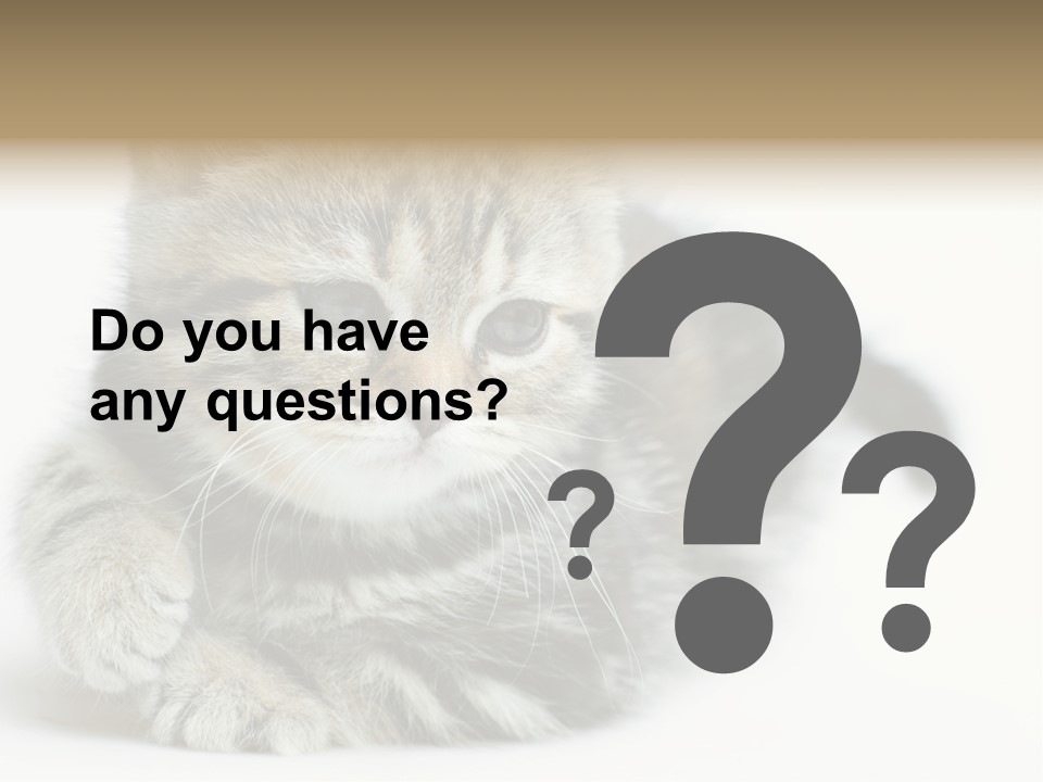 Playful Young Animal Fun PowerPoint Template