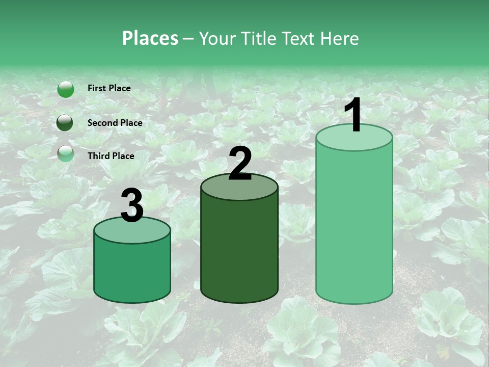 Farmer Harvest Straw PowerPoint Template