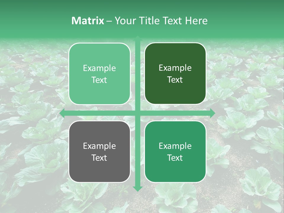 Farmer Harvest Straw PowerPoint Template