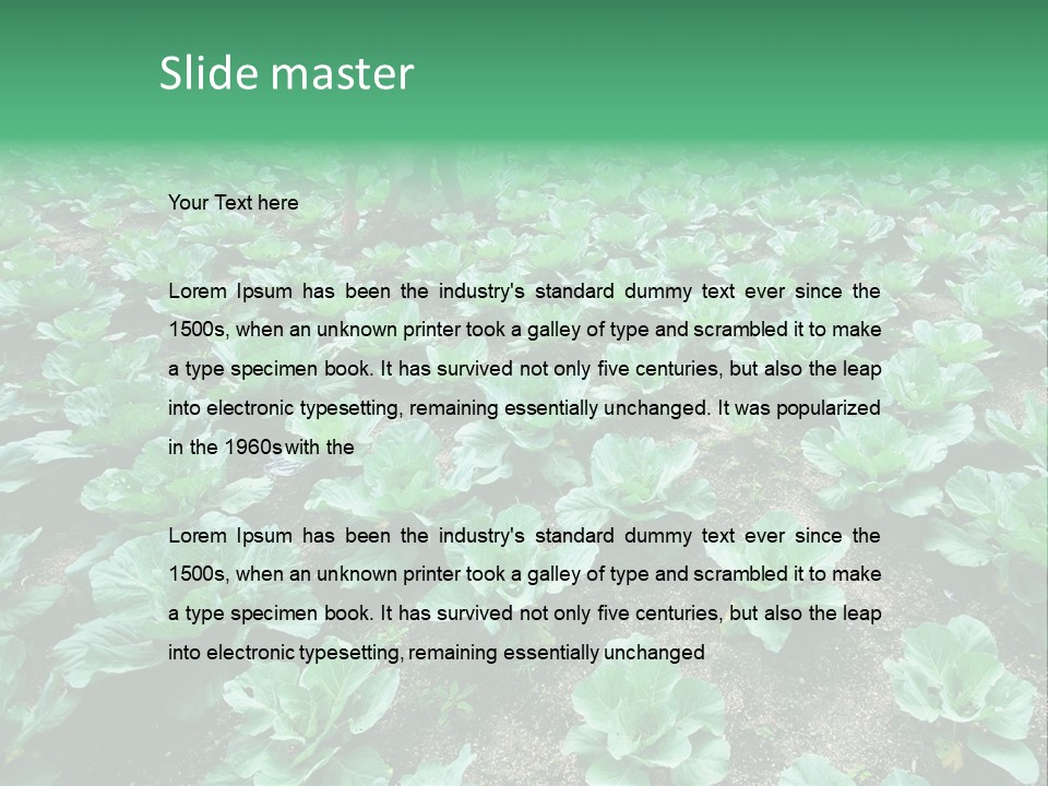 Farmer Harvest Straw PowerPoint Template