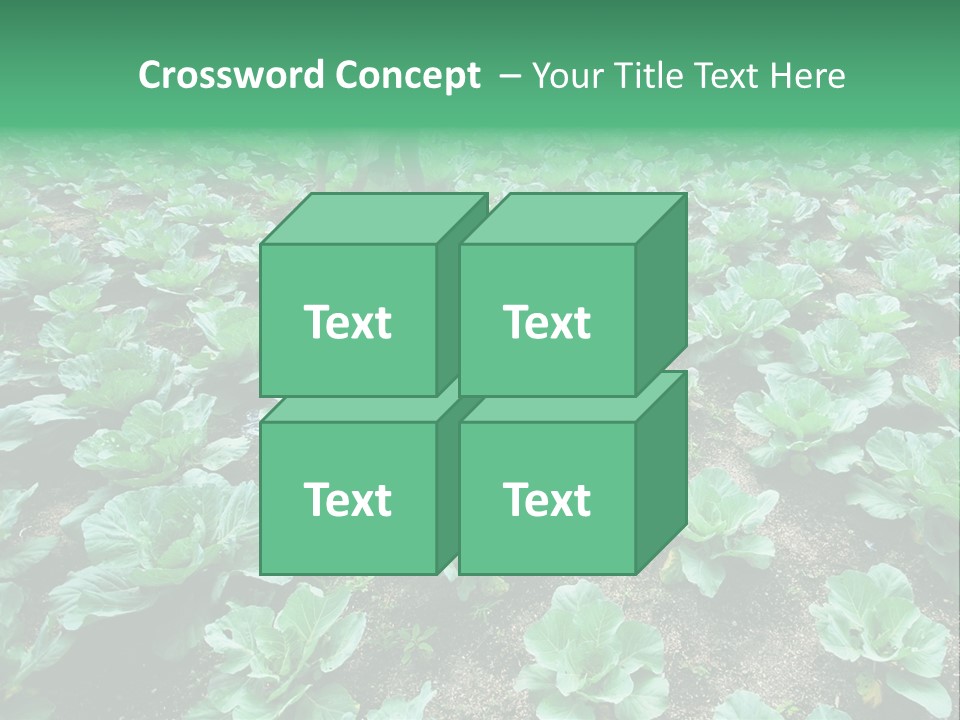 Farmer Harvest Straw PowerPoint Template