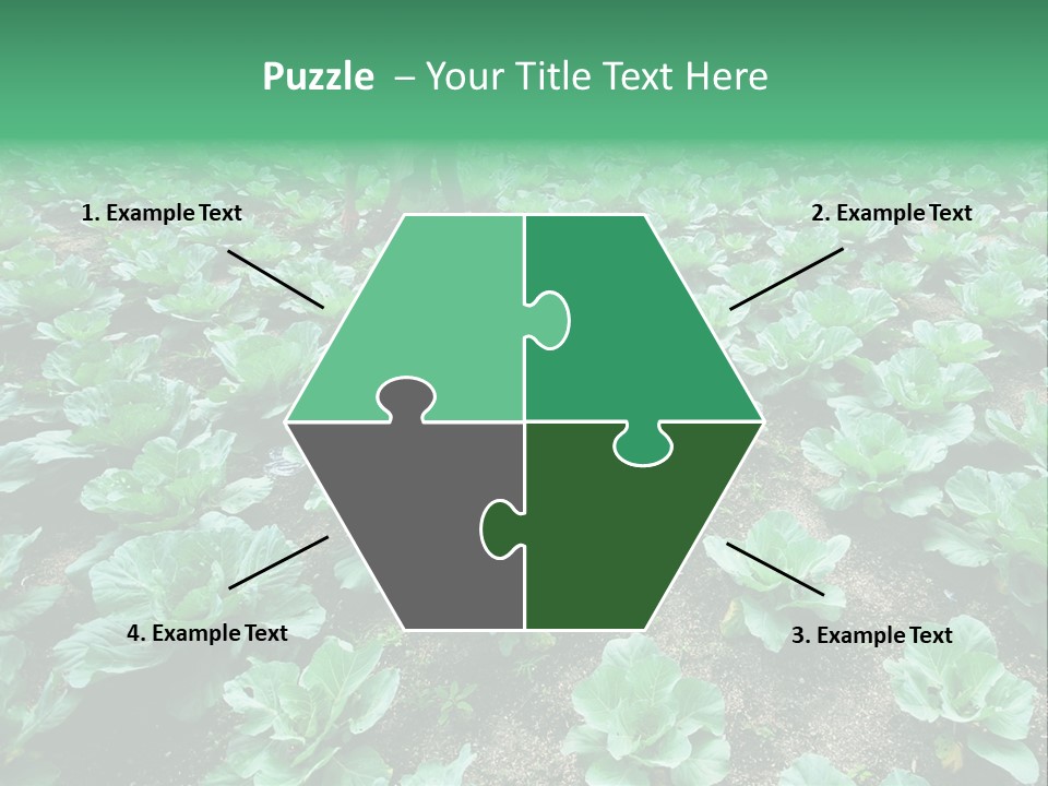Farmer Harvest Straw PowerPoint Template