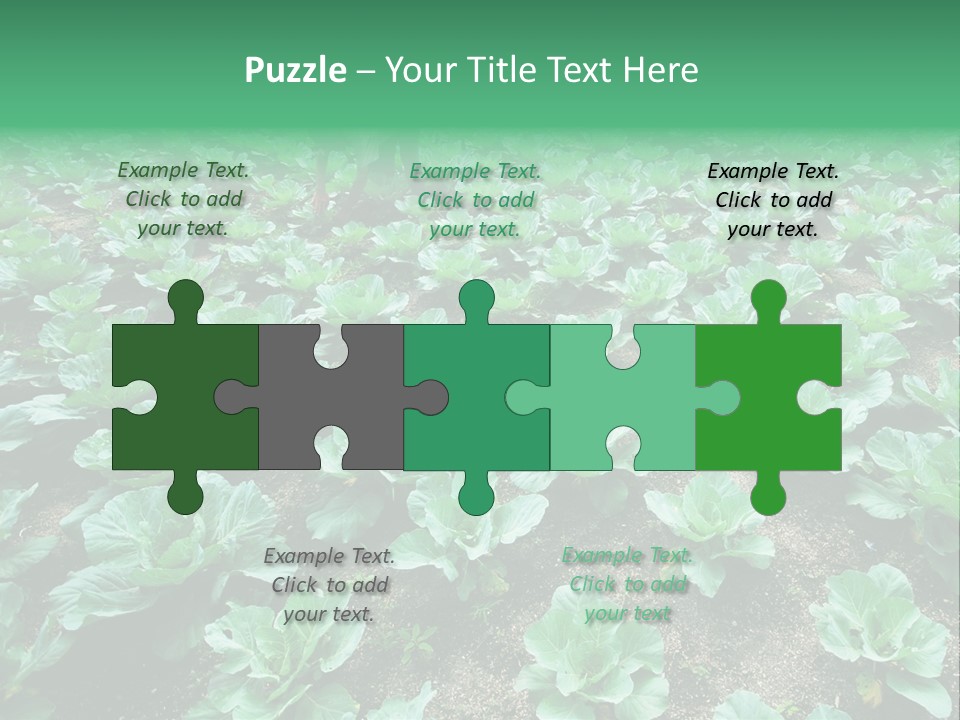 Farmer Harvest Straw PowerPoint Template