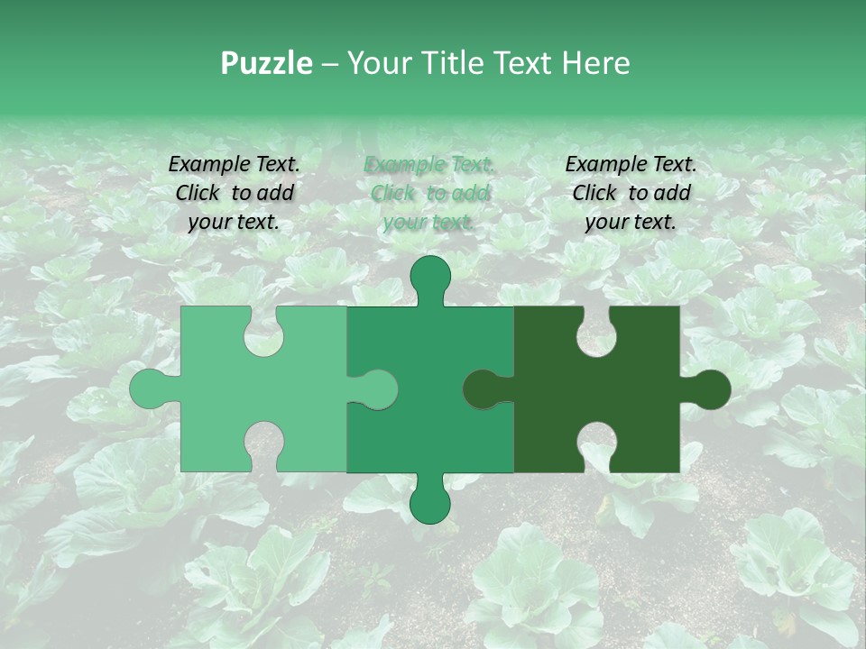 Farmer Harvest Straw PowerPoint Template