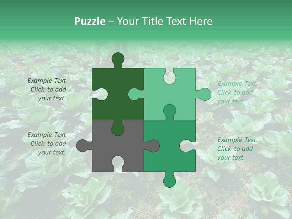 Farmer Harvest Straw PowerPoint Template