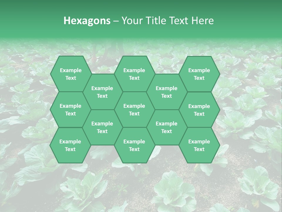 Farmer Harvest Straw PowerPoint Template