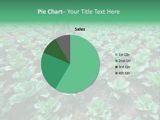 Farmer Harvest Straw PowerPoint Template