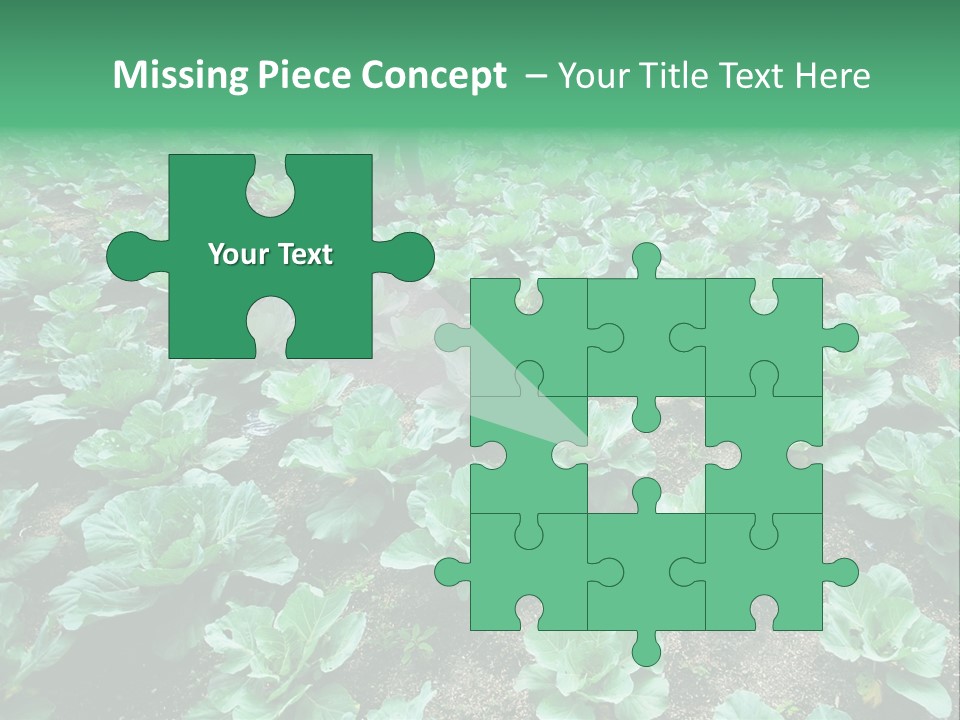 Farmer Harvest Straw PowerPoint Template