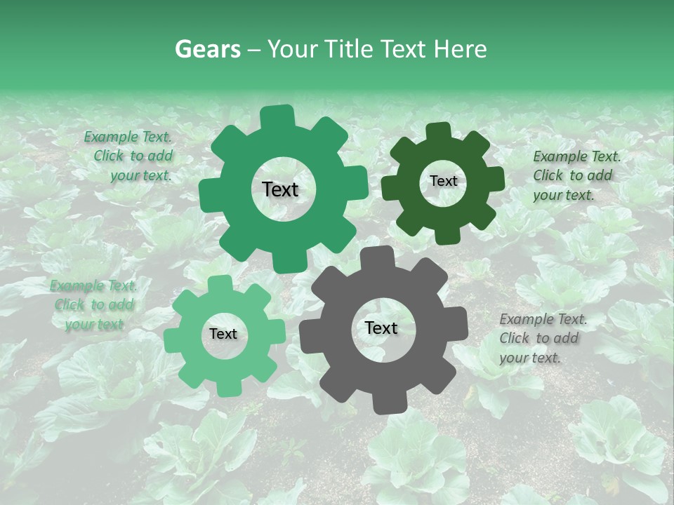 Farmer Harvest Straw PowerPoint Template