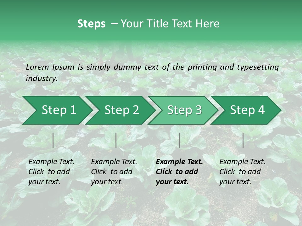Farmer Harvest Straw PowerPoint Template