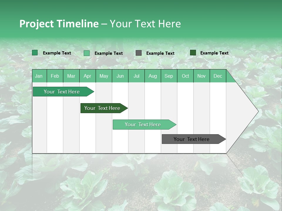 Farmer Harvest Straw PowerPoint Template