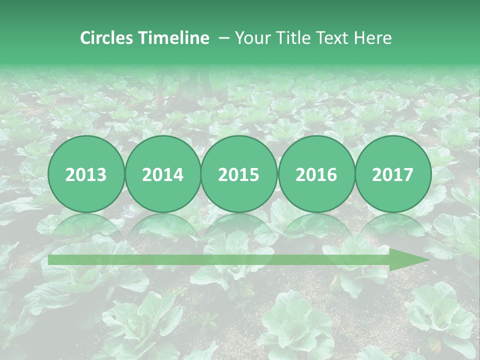 Farmer Harvest Straw PowerPoint Template