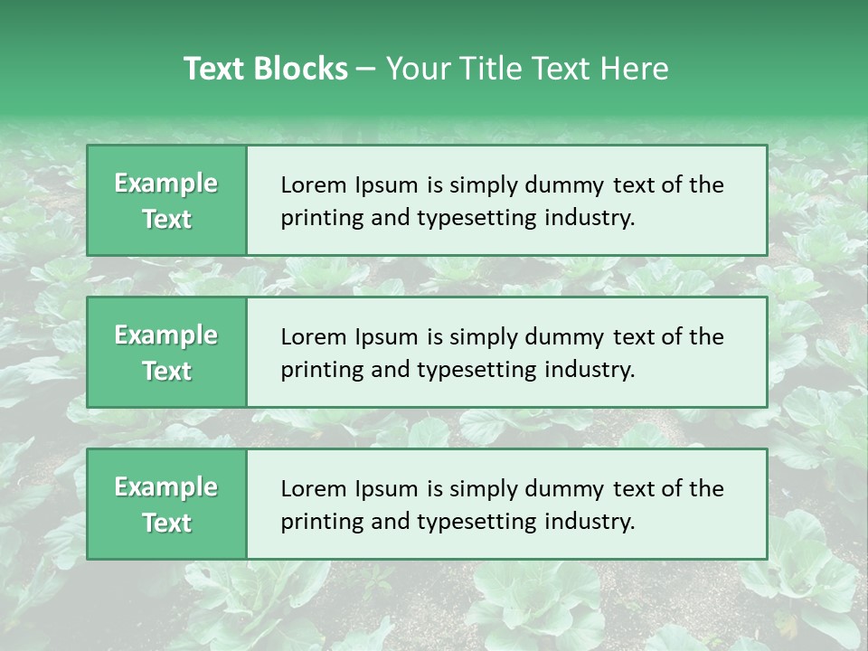 Farmer Harvest Straw PowerPoint Template