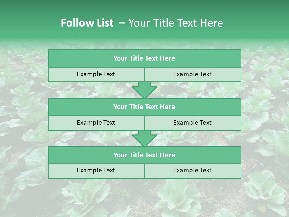 Farmer Harvest Straw PowerPoint Template