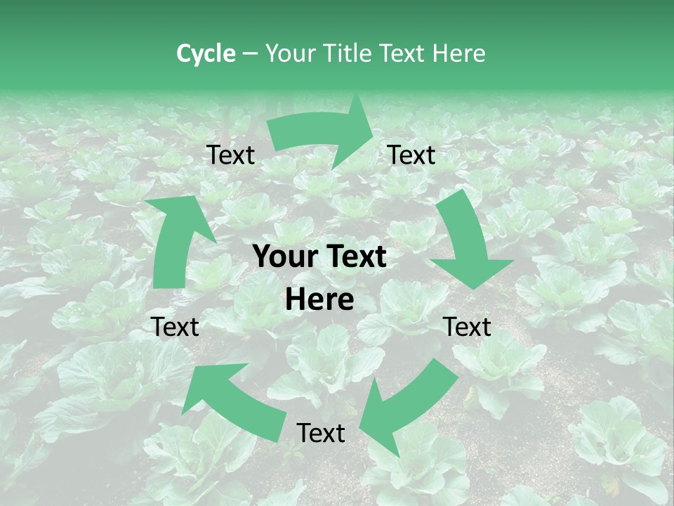 Farmer Harvest Straw PowerPoint Template