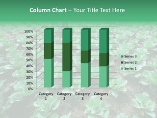 Farmer Harvest Straw PowerPoint Template