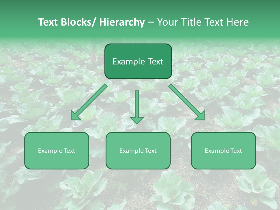 Farmer Harvest Straw PowerPoint Template