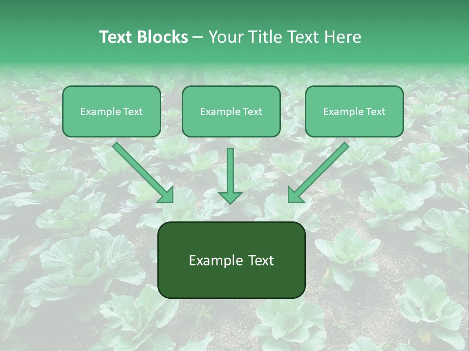 Farmer Harvest Straw PowerPoint Template