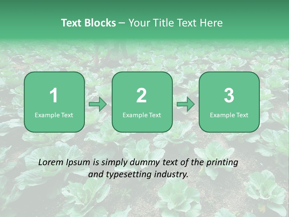 Farmer Harvest Straw PowerPoint Template