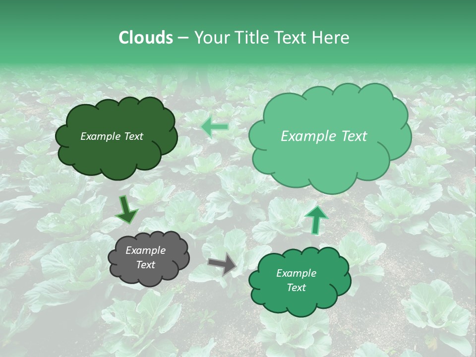Farmer Harvest Straw PowerPoint Template