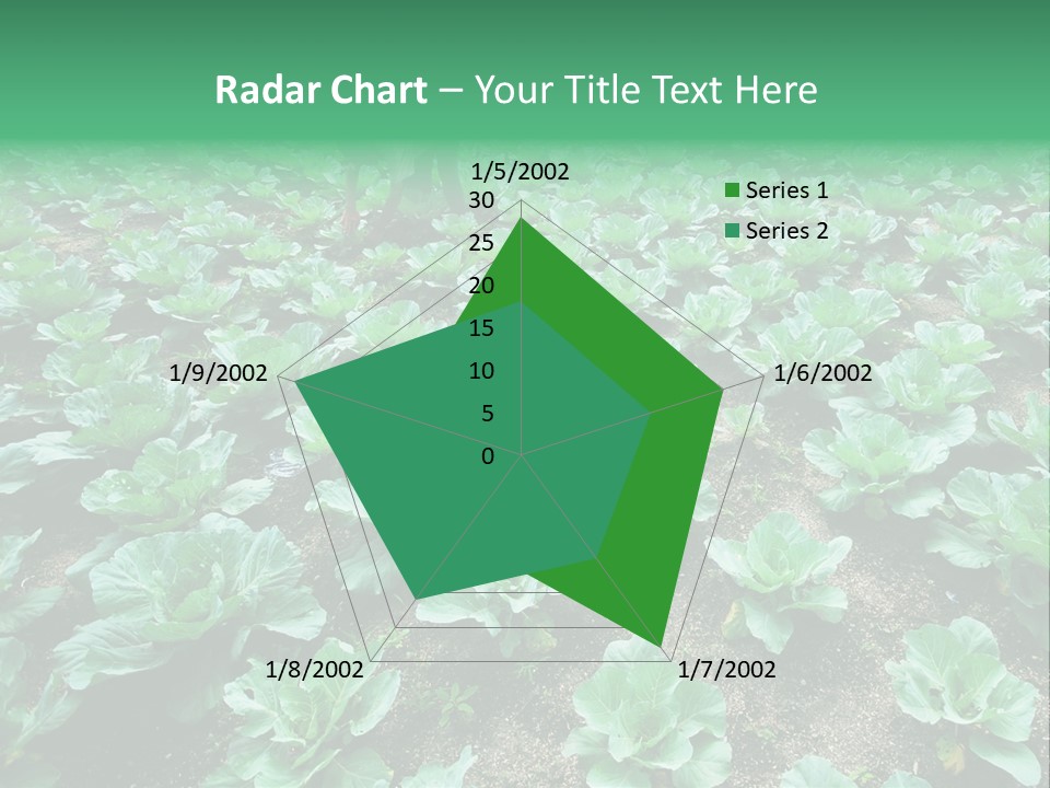 Farmer Harvest Straw PowerPoint Template
