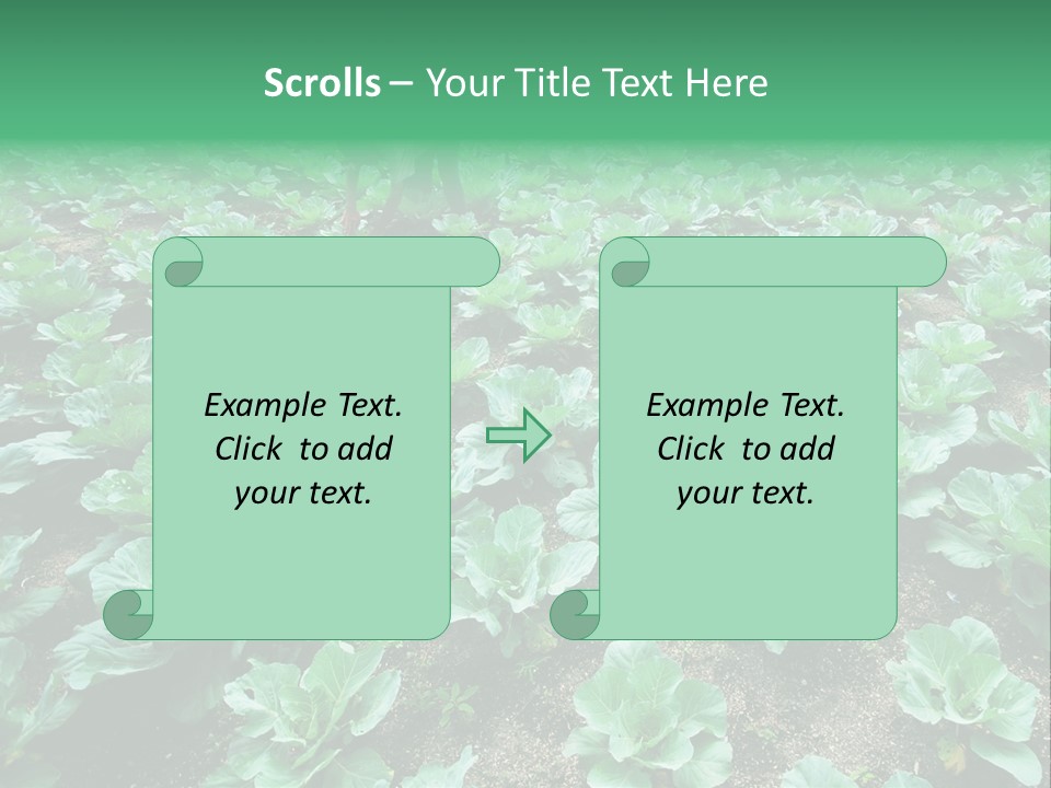 Farmer Harvest Straw PowerPoint Template