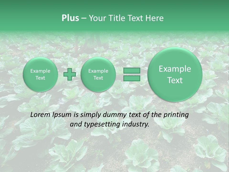 Farmer Harvest Straw PowerPoint Template