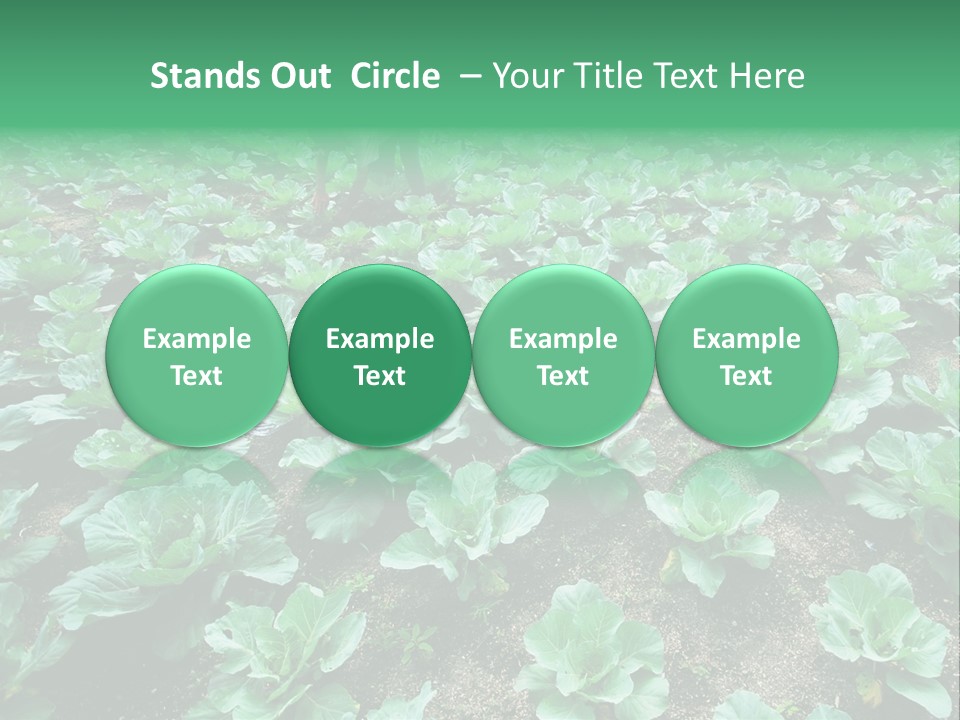 Farmer Harvest Straw PowerPoint Template