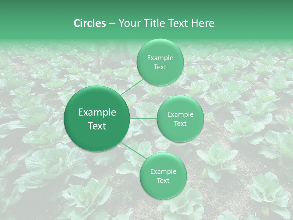 Farmer Harvest Straw PowerPoint Template