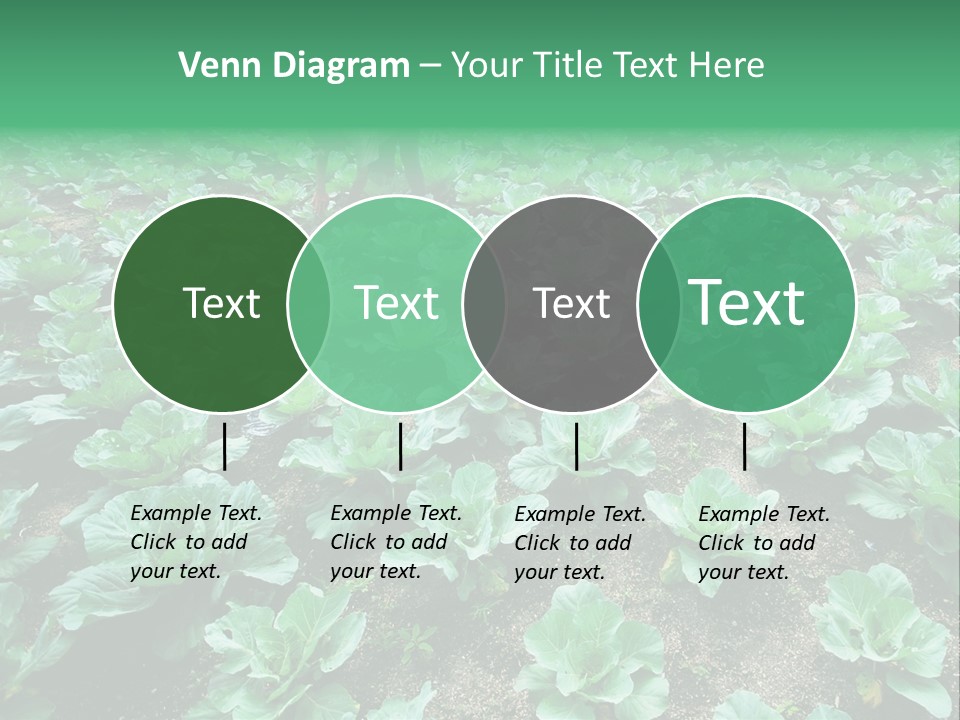 Farmer Harvest Straw PowerPoint Template