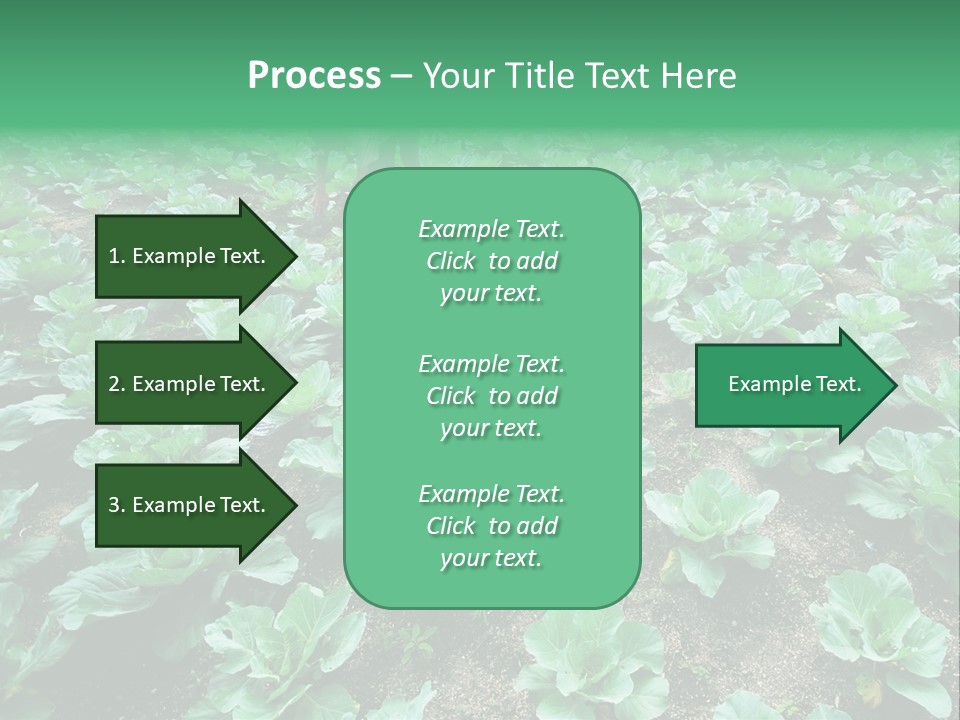 Farmer Harvest Straw PowerPoint Template