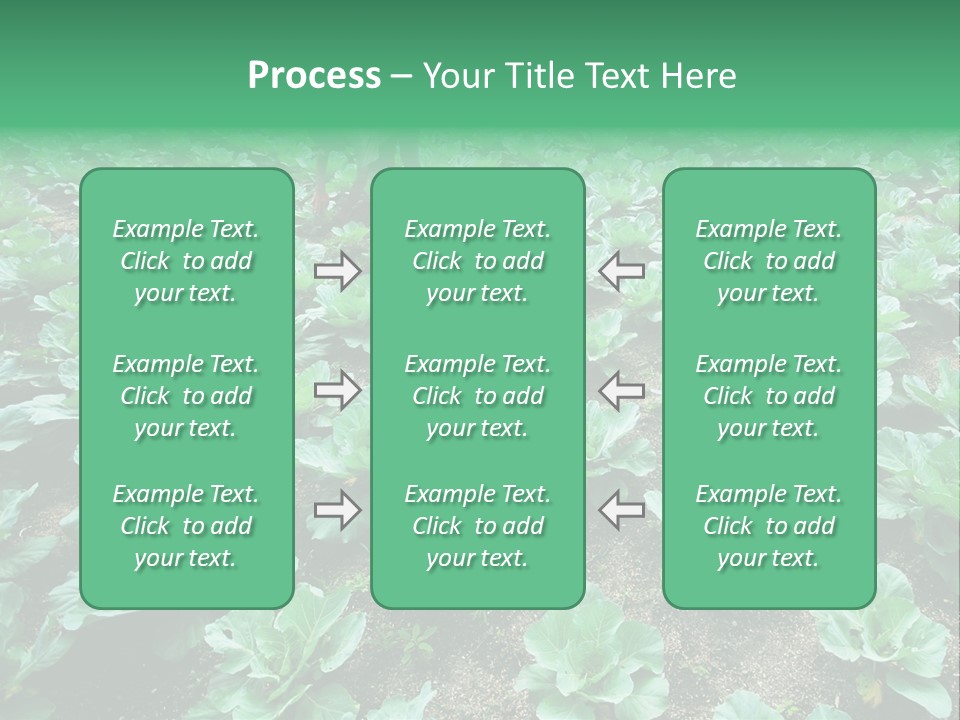 Farmer Harvest Straw PowerPoint Template