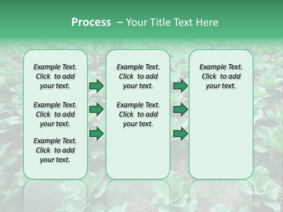 Farmer Harvest Straw PowerPoint Template