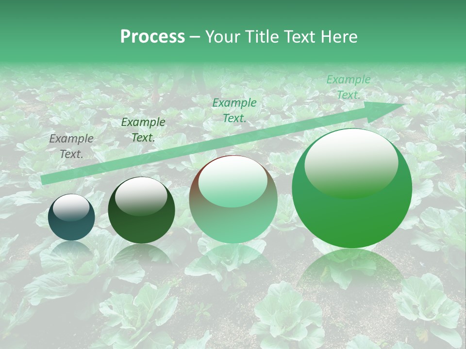 Farmer Harvest Straw PowerPoint Template