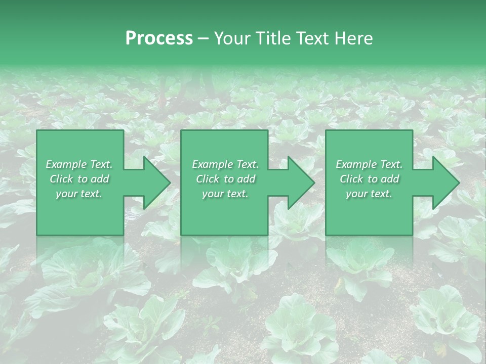 Farmer Harvest Straw PowerPoint Template