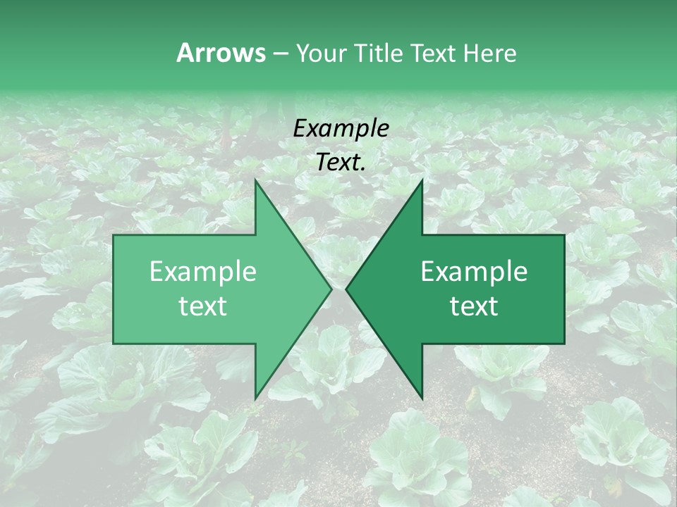 Farmer Harvest Straw PowerPoint Template