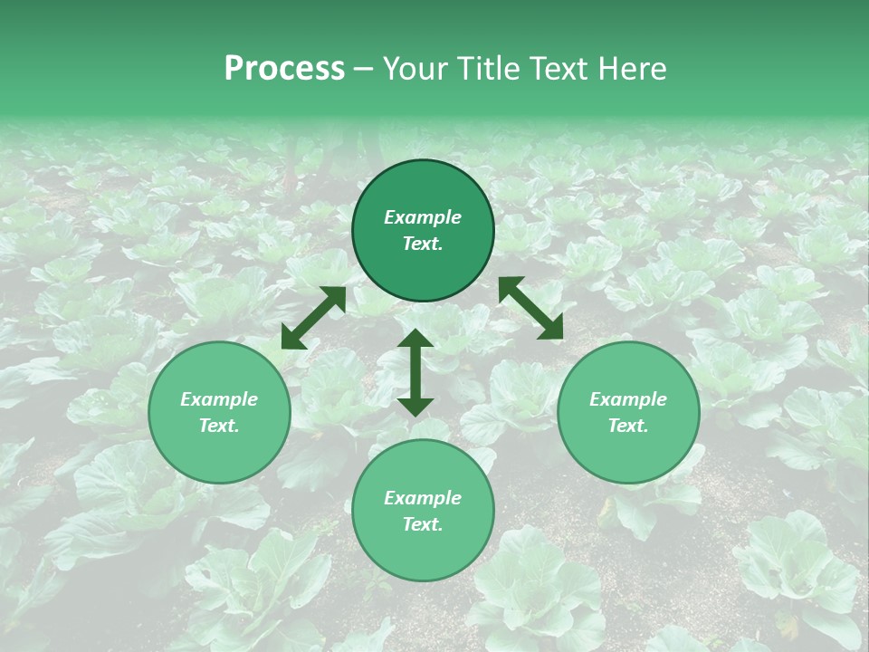 Farmer Harvest Straw PowerPoint Template