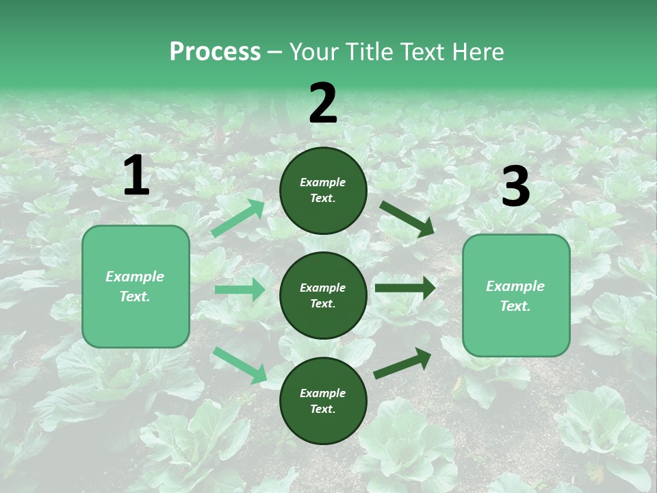 Farmer Harvest Straw PowerPoint Template