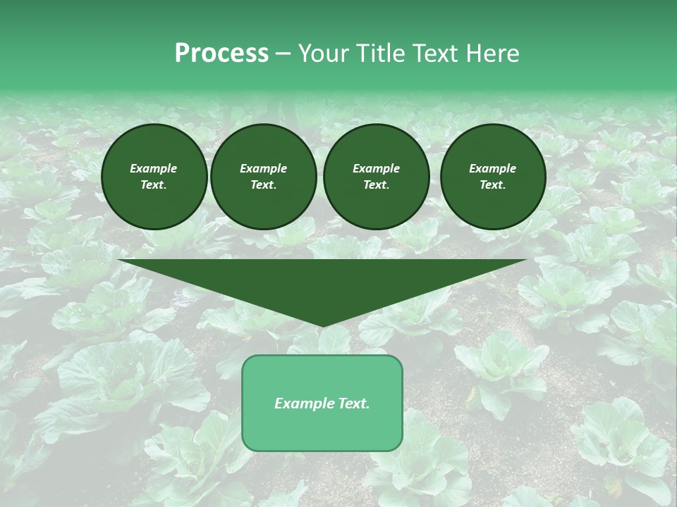 Farmer Harvest Straw PowerPoint Template