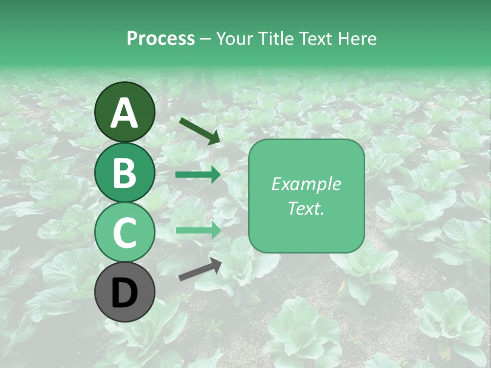 Farmer Harvest Straw PowerPoint Template