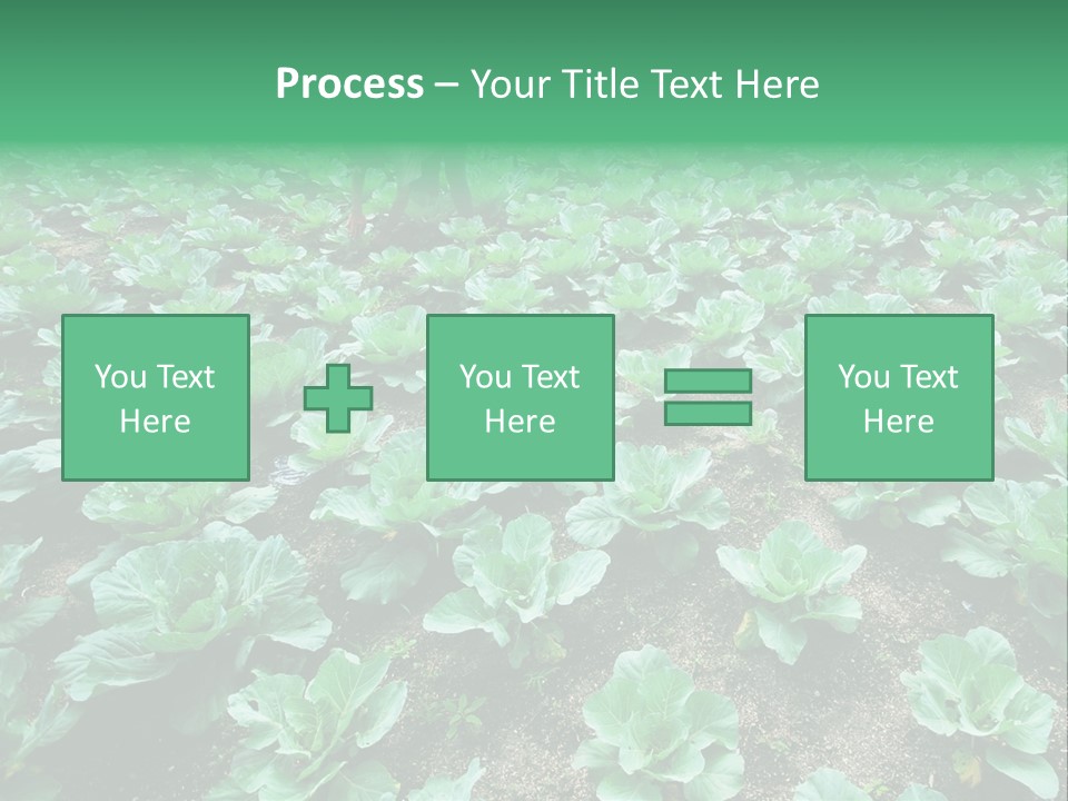 Farmer Harvest Straw PowerPoint Template