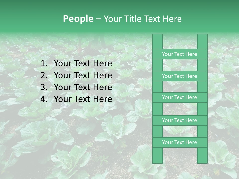 Farmer Harvest Straw PowerPoint Template