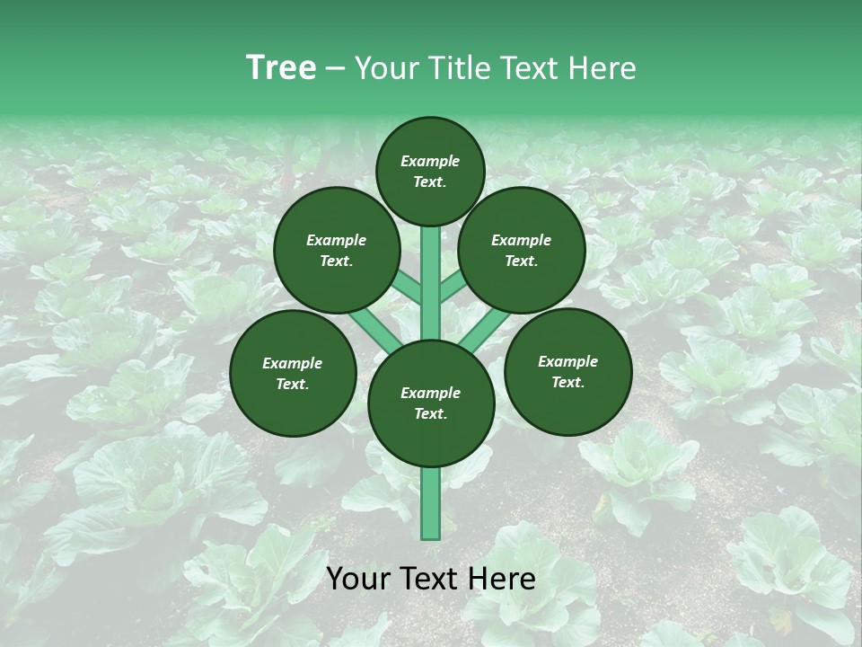 Farmer Harvest Straw PowerPoint Template